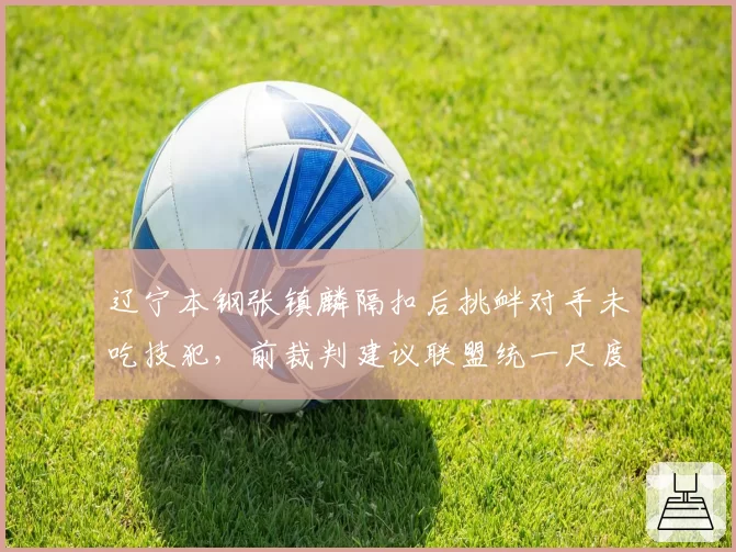 辽宁本钢张镇麟隔扣后挑衅对手未吃技犯，前裁判建议联盟统一尺度