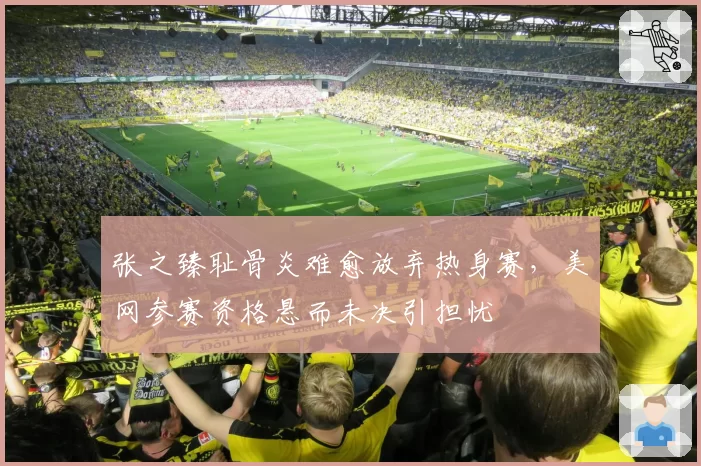 张之臻耻骨炎难愈放弃热身赛，美网参赛资格悬而未决引担忧