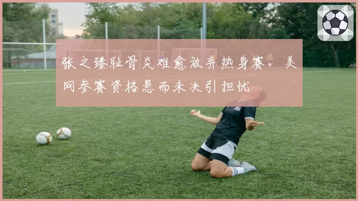 张之臻耻骨炎难愈放弃热身赛，美网参赛资格悬而未决引担忧