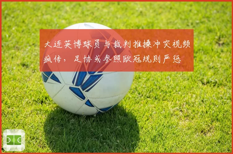 大连英博球员与裁判推搡冲突视频疯传，足协或参照欧冠规则严惩