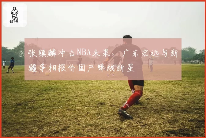 张镇麟冲击NBA未果，广东宏远与新疆争相报价国产锋线新星