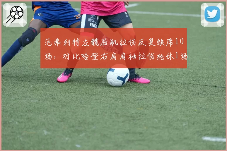 范弗利特左髋屈肌拉伤反复缺席10场，对比哈登右肩肩袖拉伤轮休1场即无碍