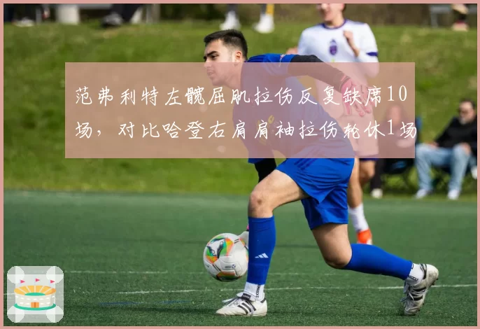 范弗利特左髋屈肌拉伤反复缺席10场，对比哈登右肩肩袖拉伤轮休1场即无碍